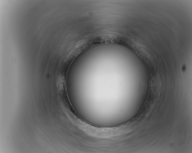 X0000089340038200706221126