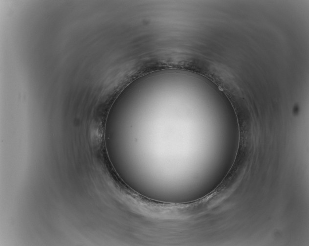 X0000089340040200706221126