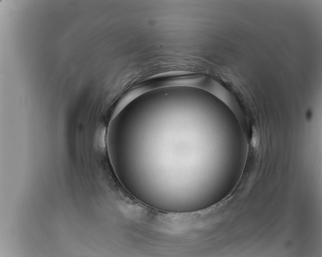 X0000089340041200706221126