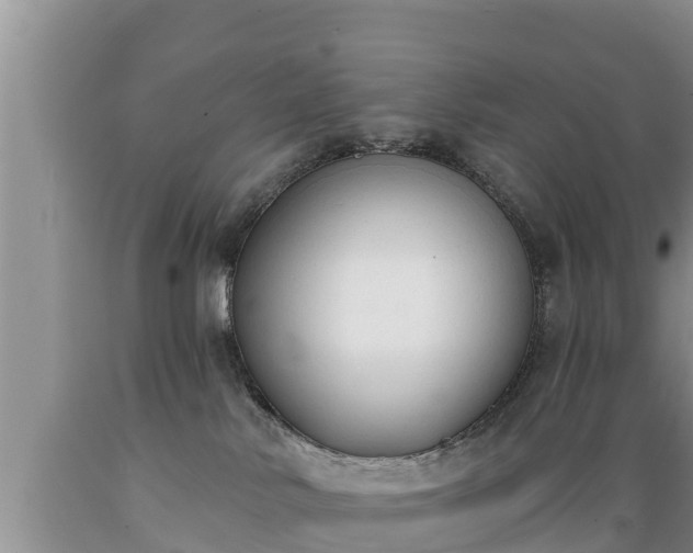 X0000089340042200706221126