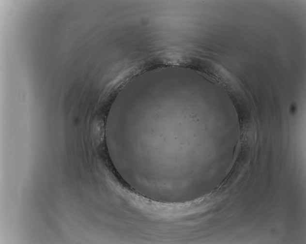 X0000089340043200706221126