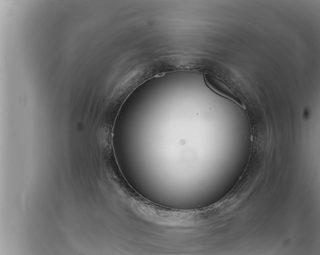 X0000089340044200706221126