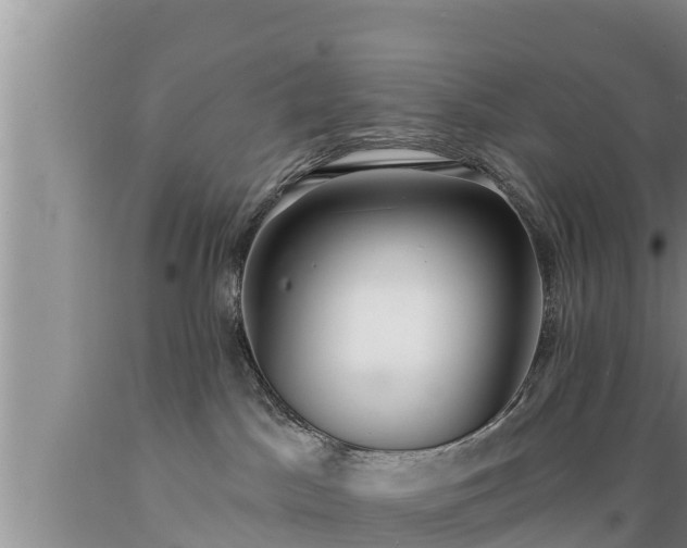 X0000089340045200706221126