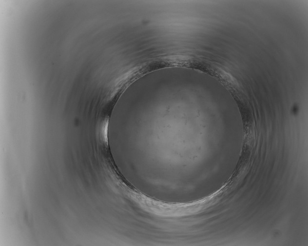 X0000089340047200706221126