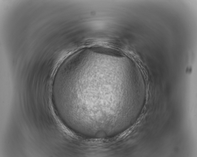 X0000089340049200706221126