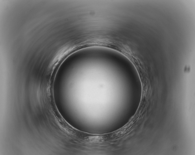 X0000089340050200706221126