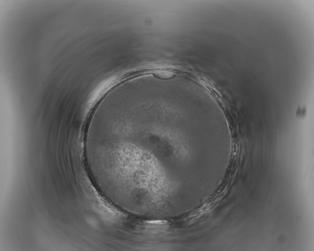 X0000089340053200706221126