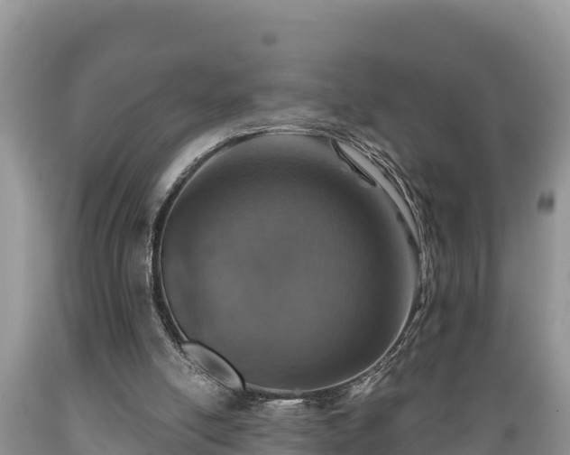 X0000089340054200706221126