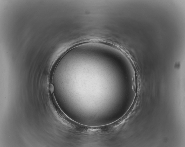 X0000089340055200706221126