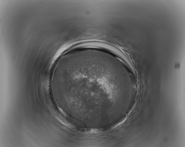 X0000089340056200706221126