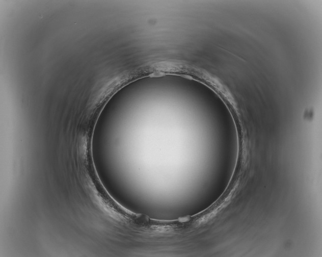 X0000089340057200706221126