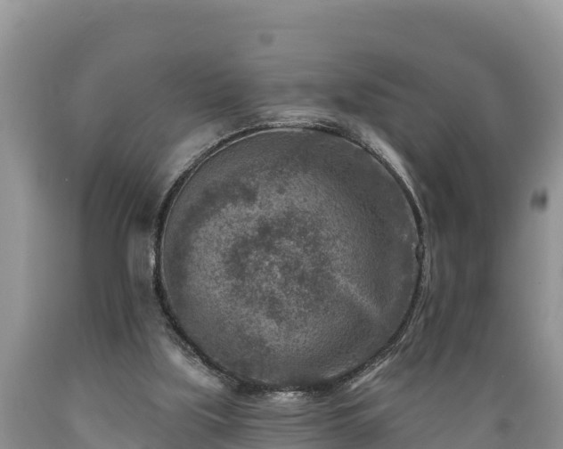 X0000089340059200706221126
