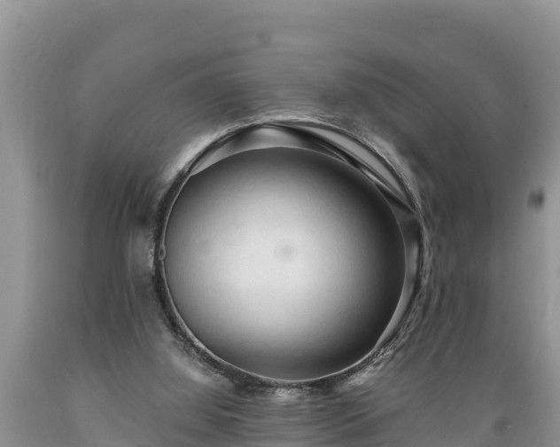 X0000089340060200706221126