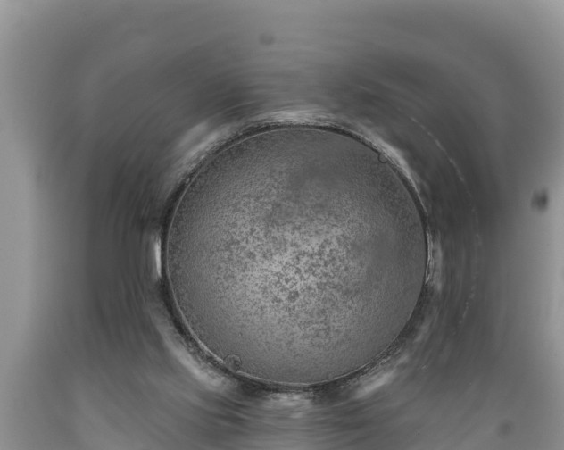 X0000089340061200706221126
