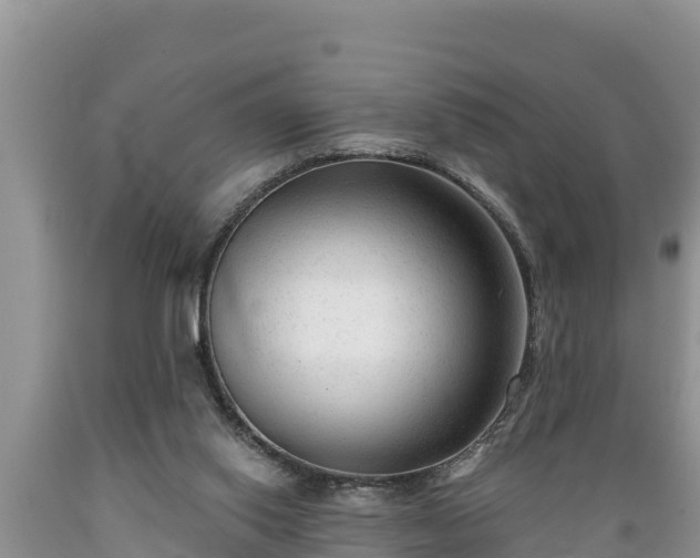 X0000089340062200706221126