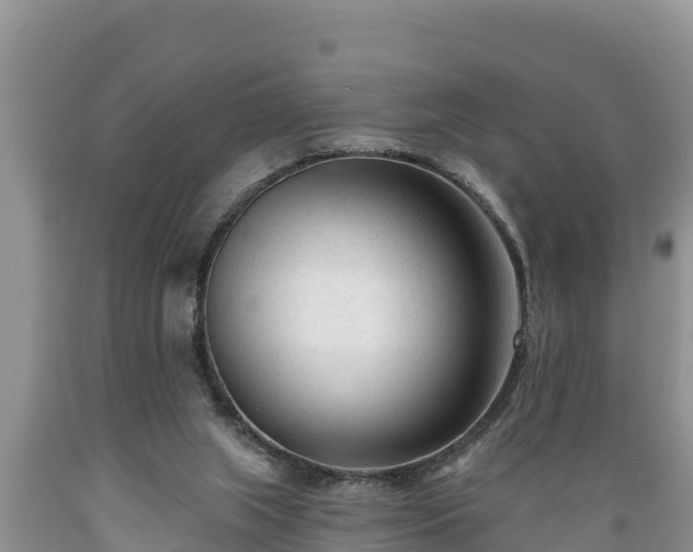 X0000089340063200706221126