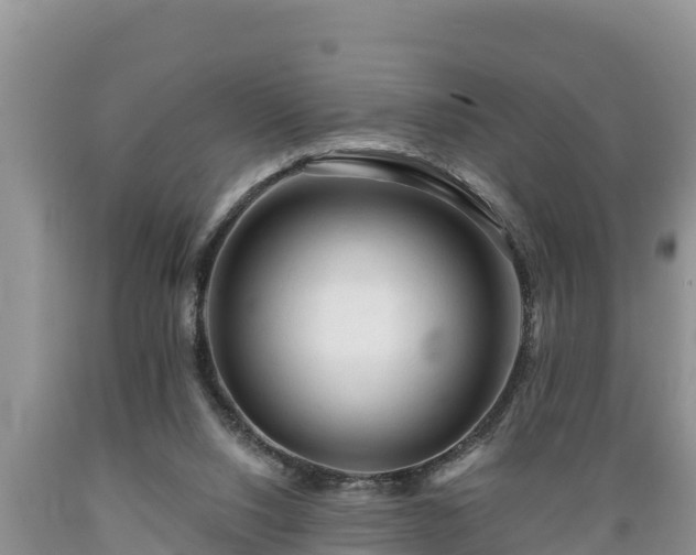 X0000089340064200706221126