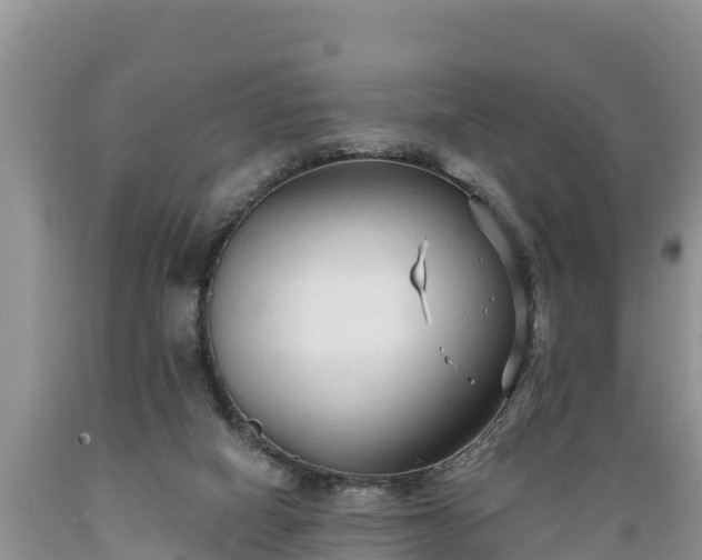X0000089340066200706221126