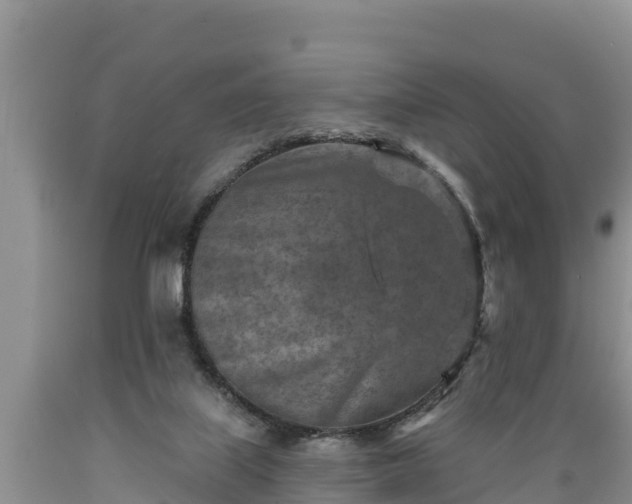 X0000089340067200706221126