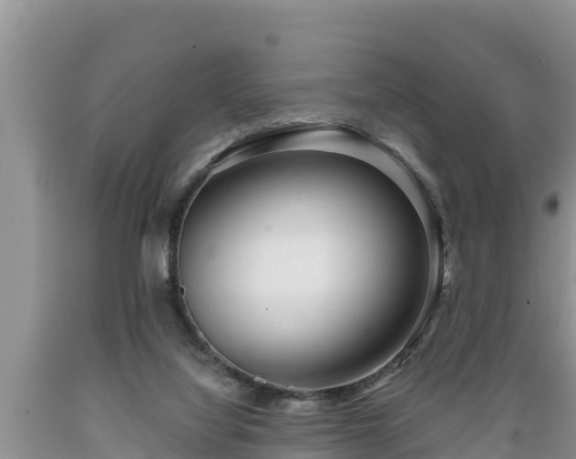 X0000089340068200706221126