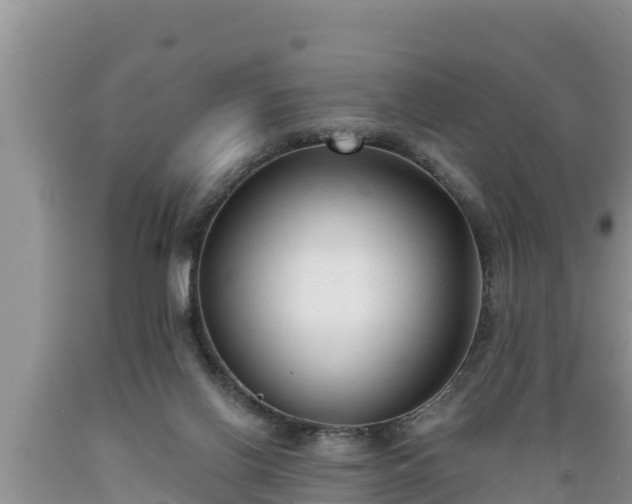 X0000089340070200706221126