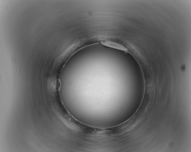 X0000089340072200706221126