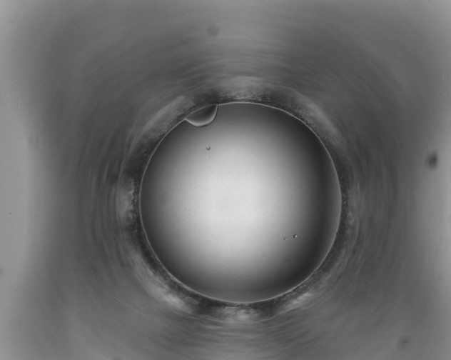 X0000089340073200706221126