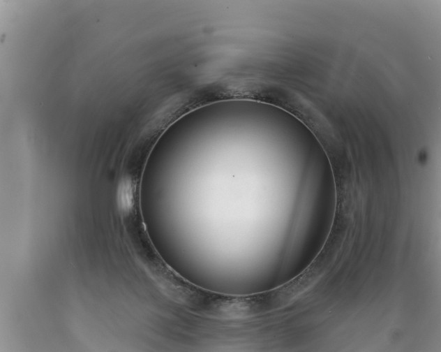 X0000089340075200706221126