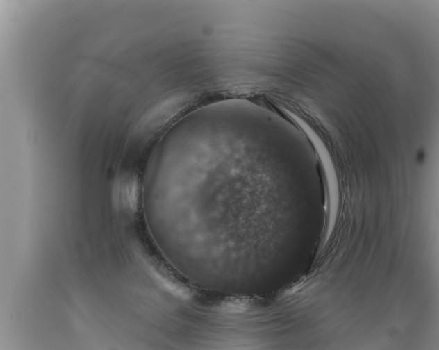 X0000089340076200706221126
