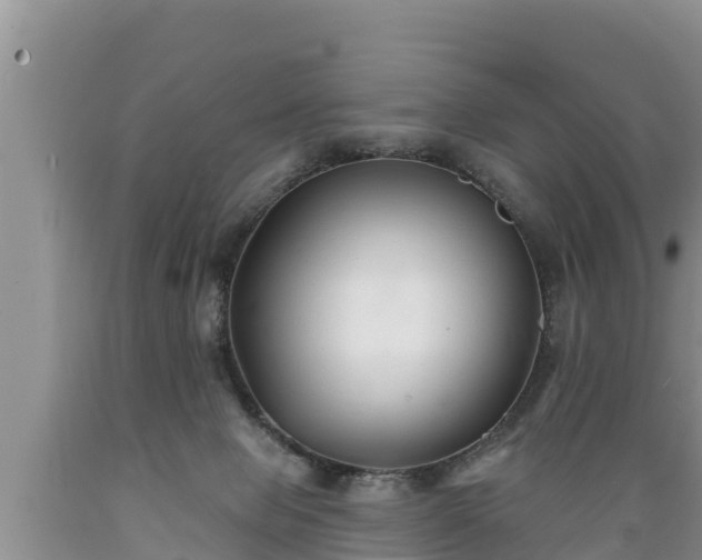 X0000089340077200706221126