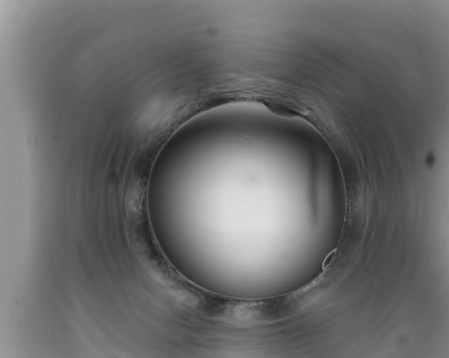 X0000089340078200706221126