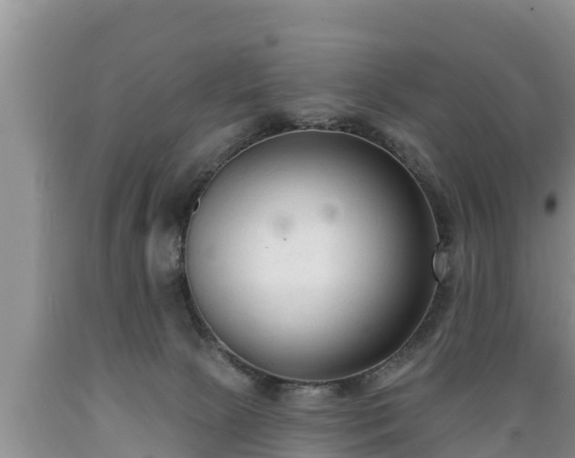 X0000089340081200706221126