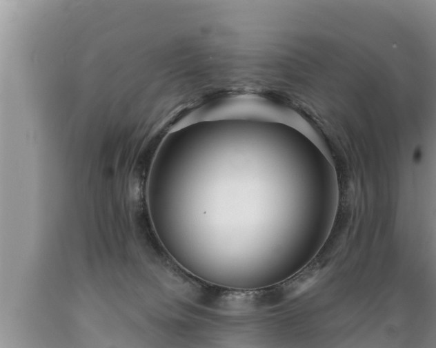 X0000089340084200706221126