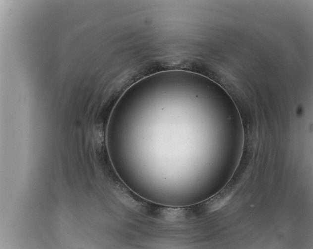 X0000089340085200706221126
