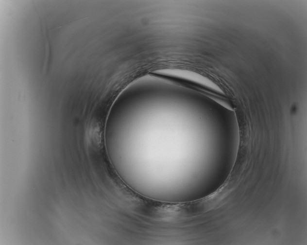 X0000089340086200706221126