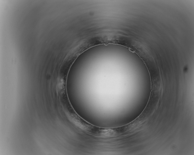 X0000089340087200706221126