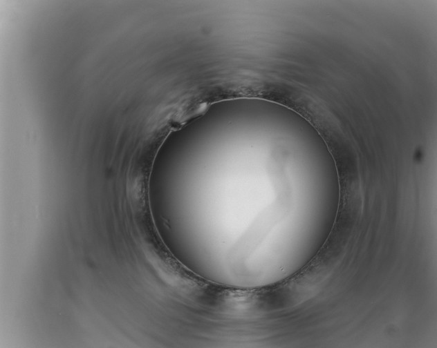 X0000089340088200706221126