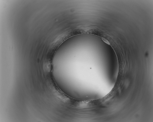 X0000089340090200706221126