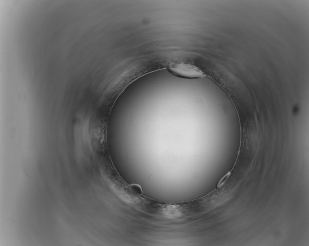 X0000089340091200706221126