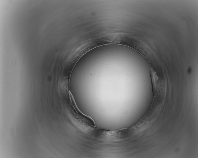 X0000089340092200706221126