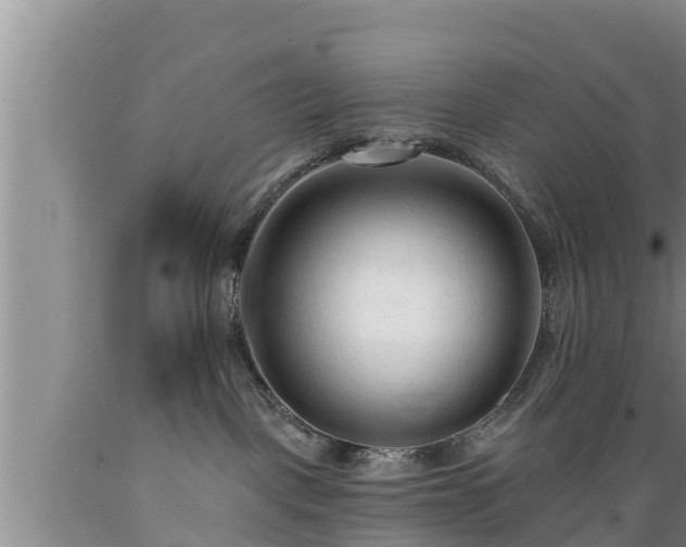 X0000089340093200706221126