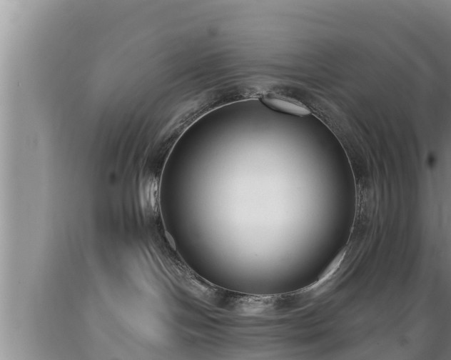 X0000089340094200706221126