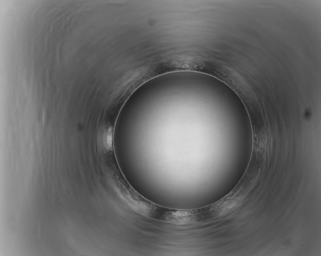 X0000089340095200706221126
