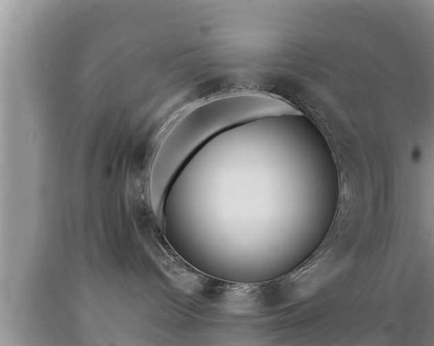 X0000089340096200706221126