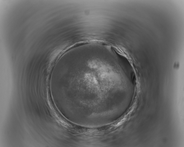 X0000089340097200706221126