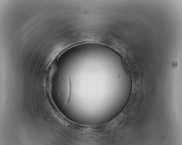 X0000089340098200706221126