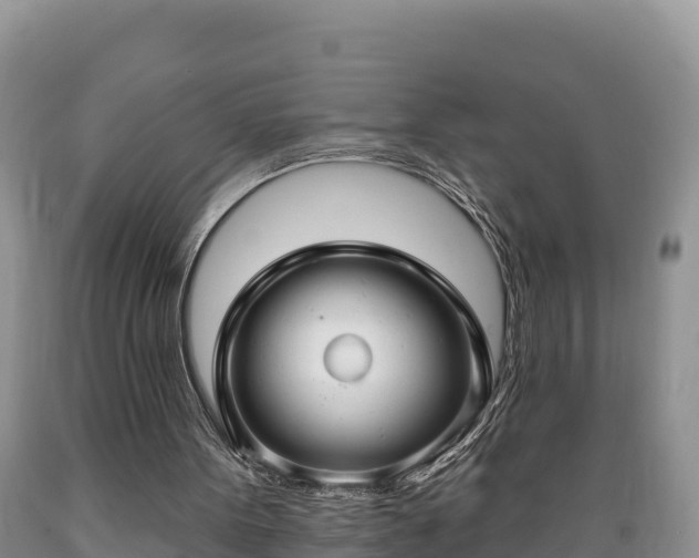 X0000089340099200706221126