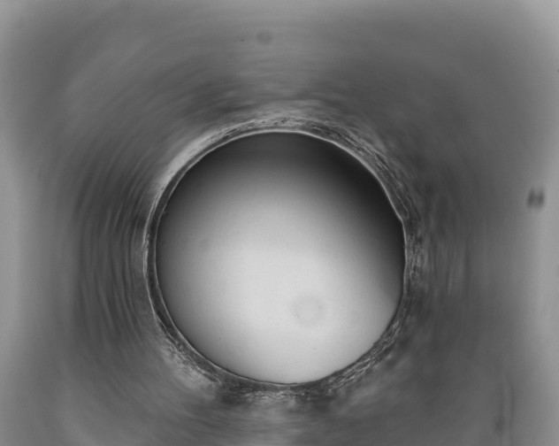 X0000089340100200706221126