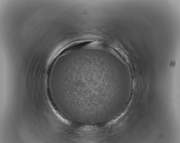 X0000089340101200706221126