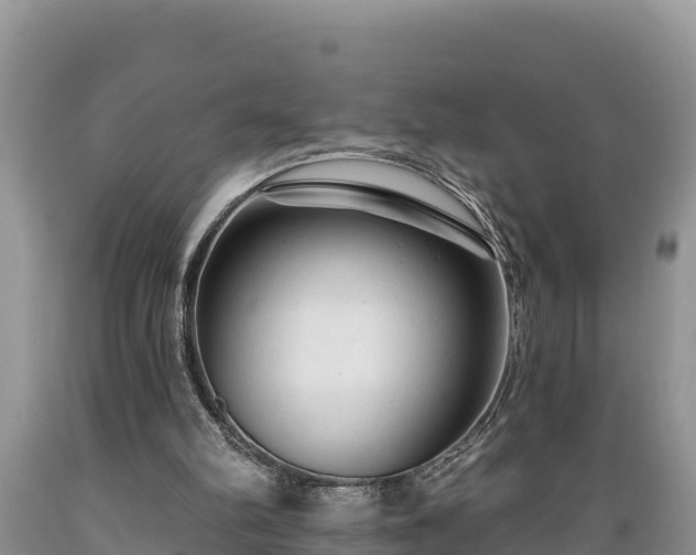 X0000089340102200706221126